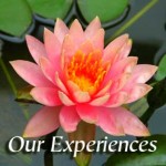 Kundalini Maha Yoga disciples' experiences image